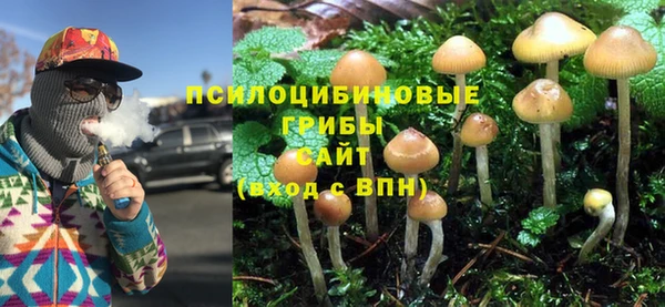 а пвп мука Армянск