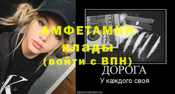 мдпв Краснослободск