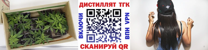 Дистиллят ТГК жижа  Купить где  Апшеронск 